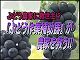 須坂市ぶどう農家に救世主の映像画像