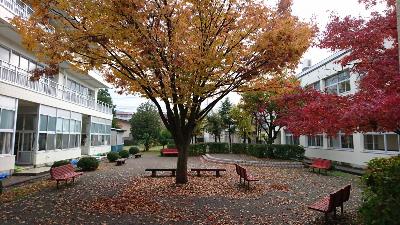 小学校の庭の写真