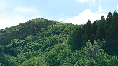 山の写真