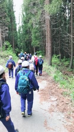 登山をする小学生の写真