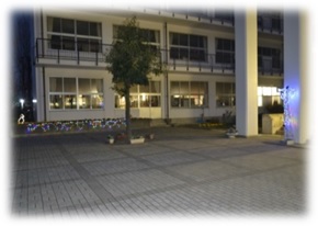 常盤中学校のイルミネーションの画像