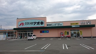 市内のドラッグストアの写真