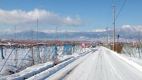 雪が積もった道の画像