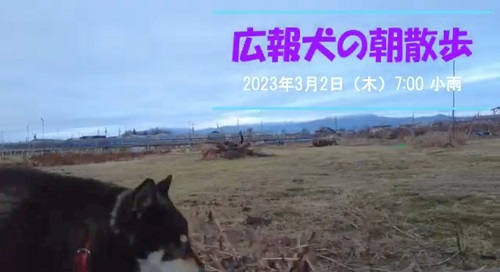 Youtubeの動画を紹介する画像