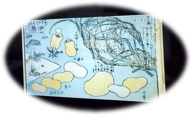 製糸を紹介する画像