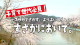 移住交流推進用映像の映像画像