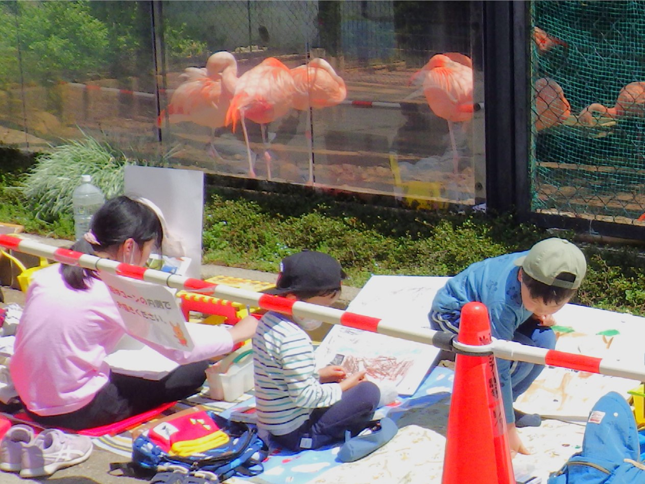 フラミンゴ舎の前で子どもたちが座って絵を描いている