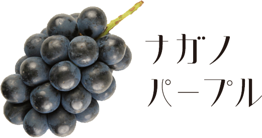 ナガノパープル。黒く、つやのある丸い粒。