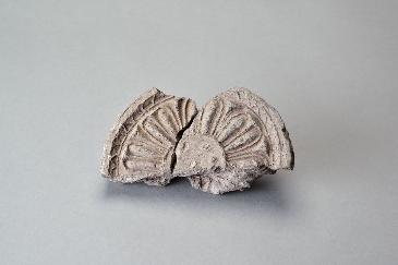 瓦のかけらのようなものの写真。灰色のベージュの中間色で、菊の模様のような彫りがされているが、半分に割れてしまっている。