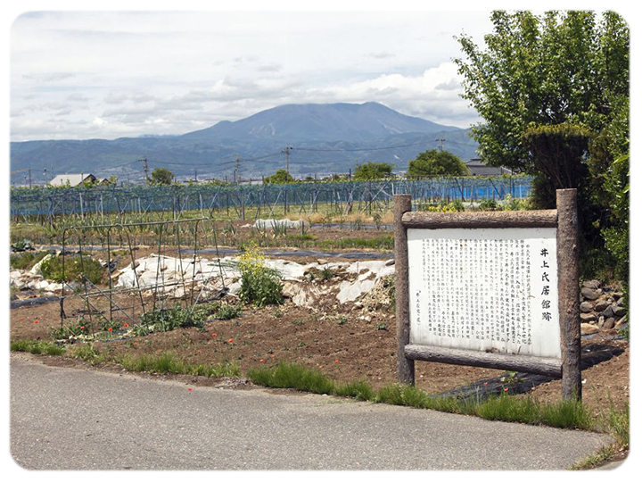井上氏城跡の写真。現在はブドウ畑になっており、跡地の看板が立つ。