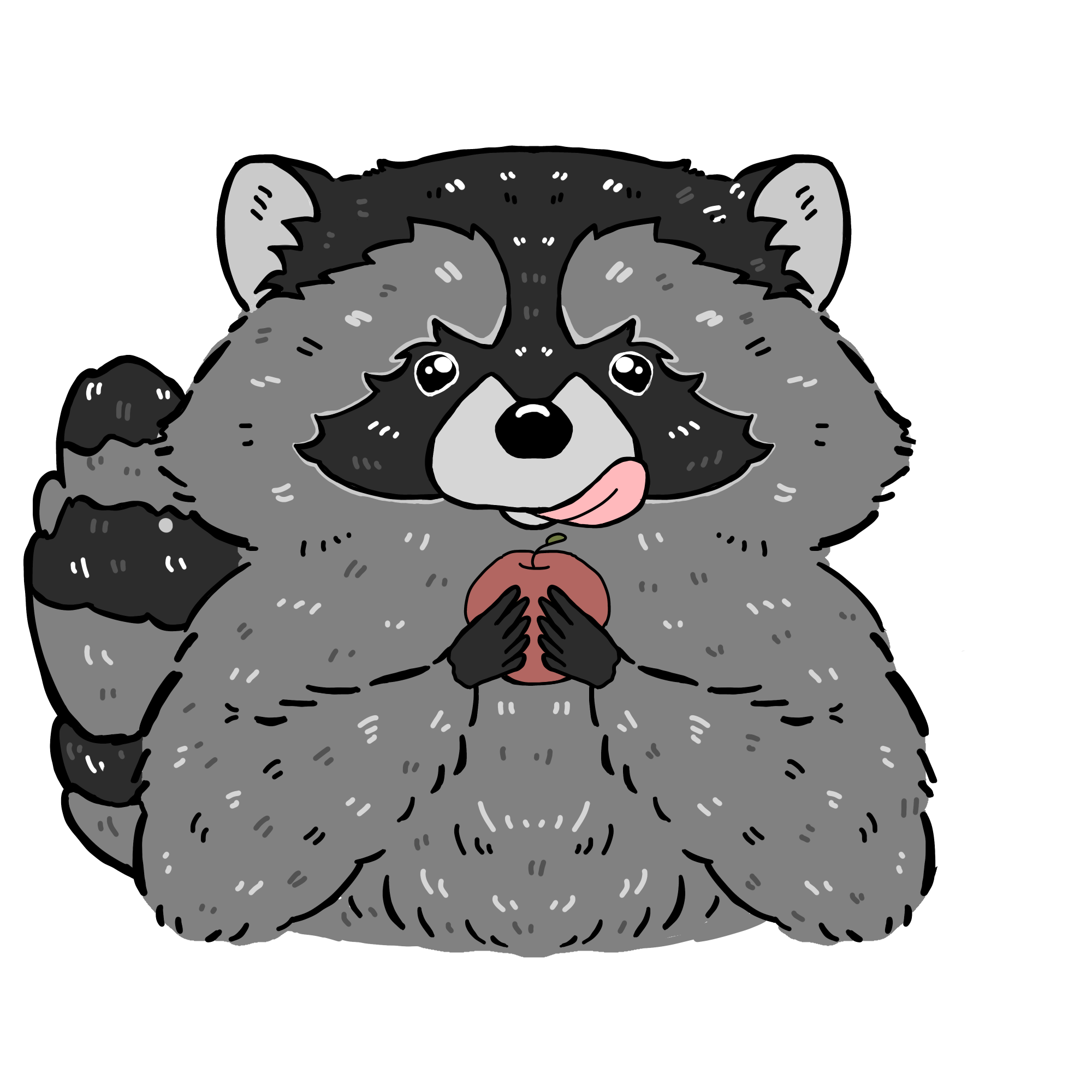アライグマのイラスト