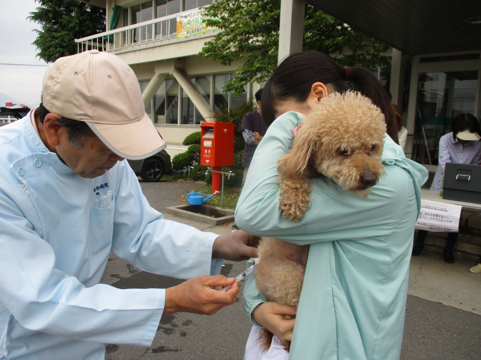 飼い主に抱きかかえられた犬が狂犬病予防の注射を受けている様子の写真