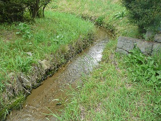 移植前のほたる公園の小川の写真