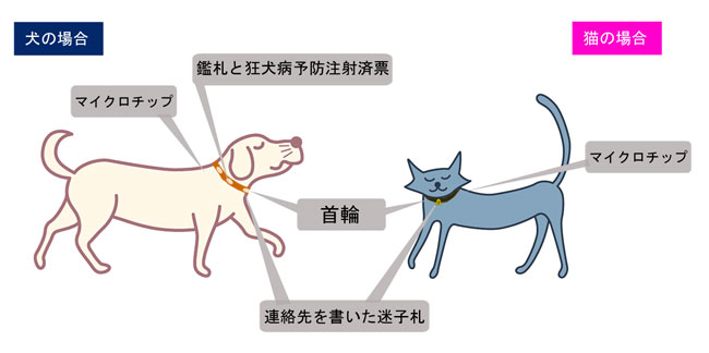 犬猫の身元を示すものとして首輪・連絡先を書いた迷子札・マイクロチップをつけましょう。犬は鑑札と狂犬病予防注射済票も忘れずに。