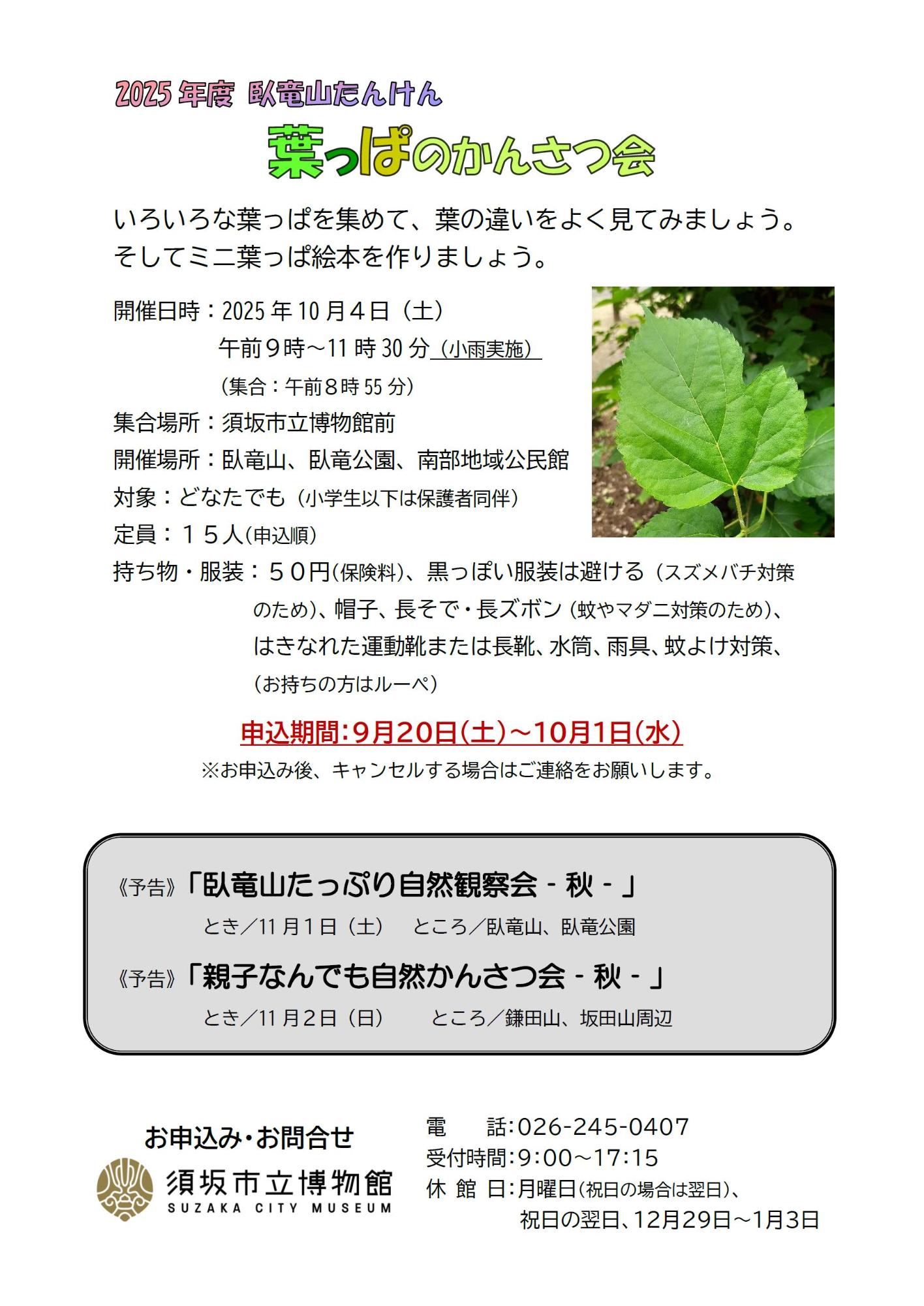 葉っぱの観察会のチラシ画像