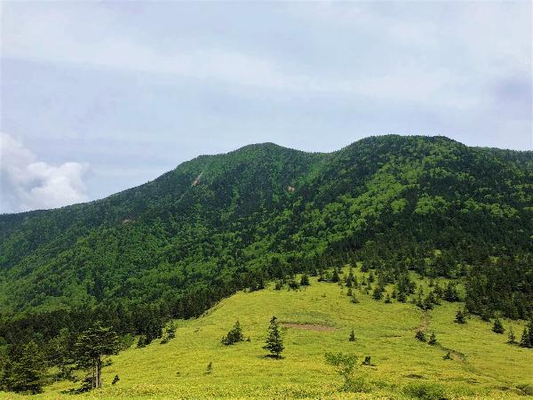 2354メートルのあずまやさんの写真。