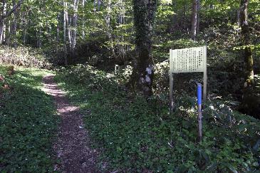 おおざさ街道の写真。山道。