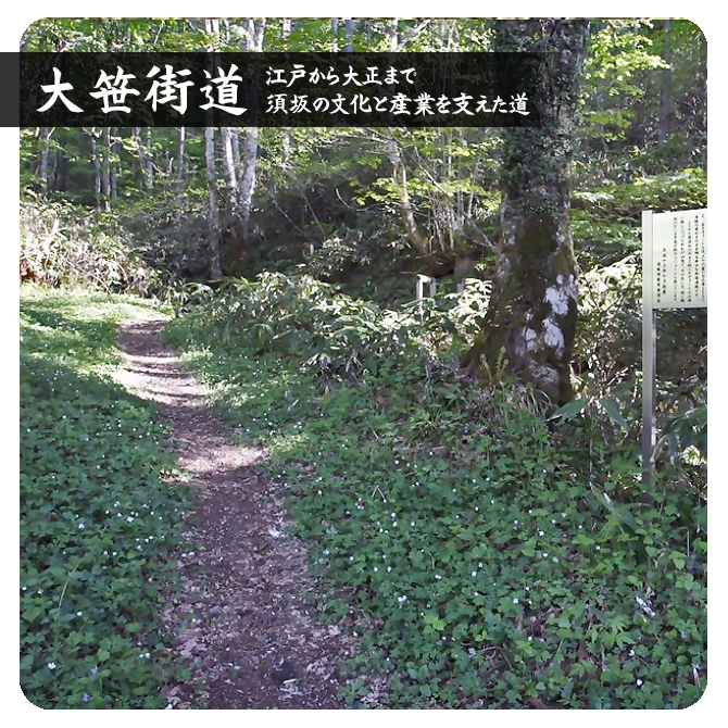 険しい山道の写真。大笹街道～江戸から大正まで須坂の文化と産業を支えた道～のページへリンクしています。