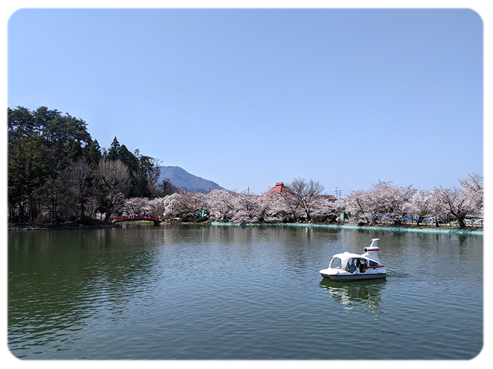 臥竜公園のりゅうがいけの写真。