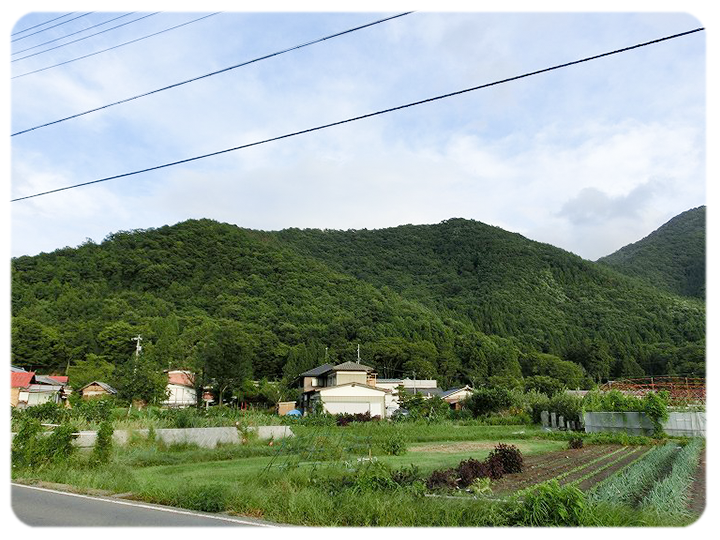 大岩城があった山の写真