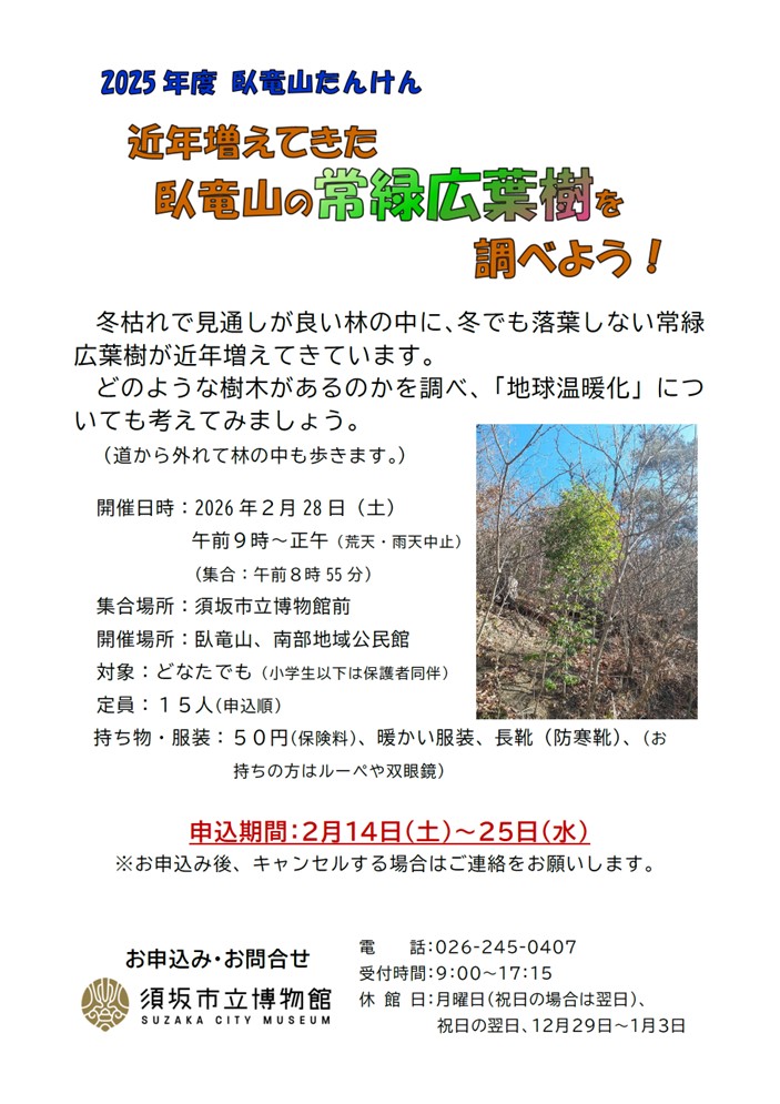 「臥竜山の常緑広葉樹を調べよう」参加者募集チラシ画像