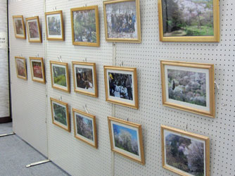 井上城址の桜の写真、額装されたA4サイズくらいの写真が壁に飾られている。計16枚。