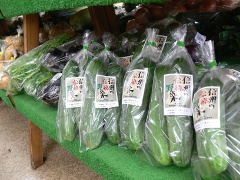 伝統野菜の八町きゅうりの写真