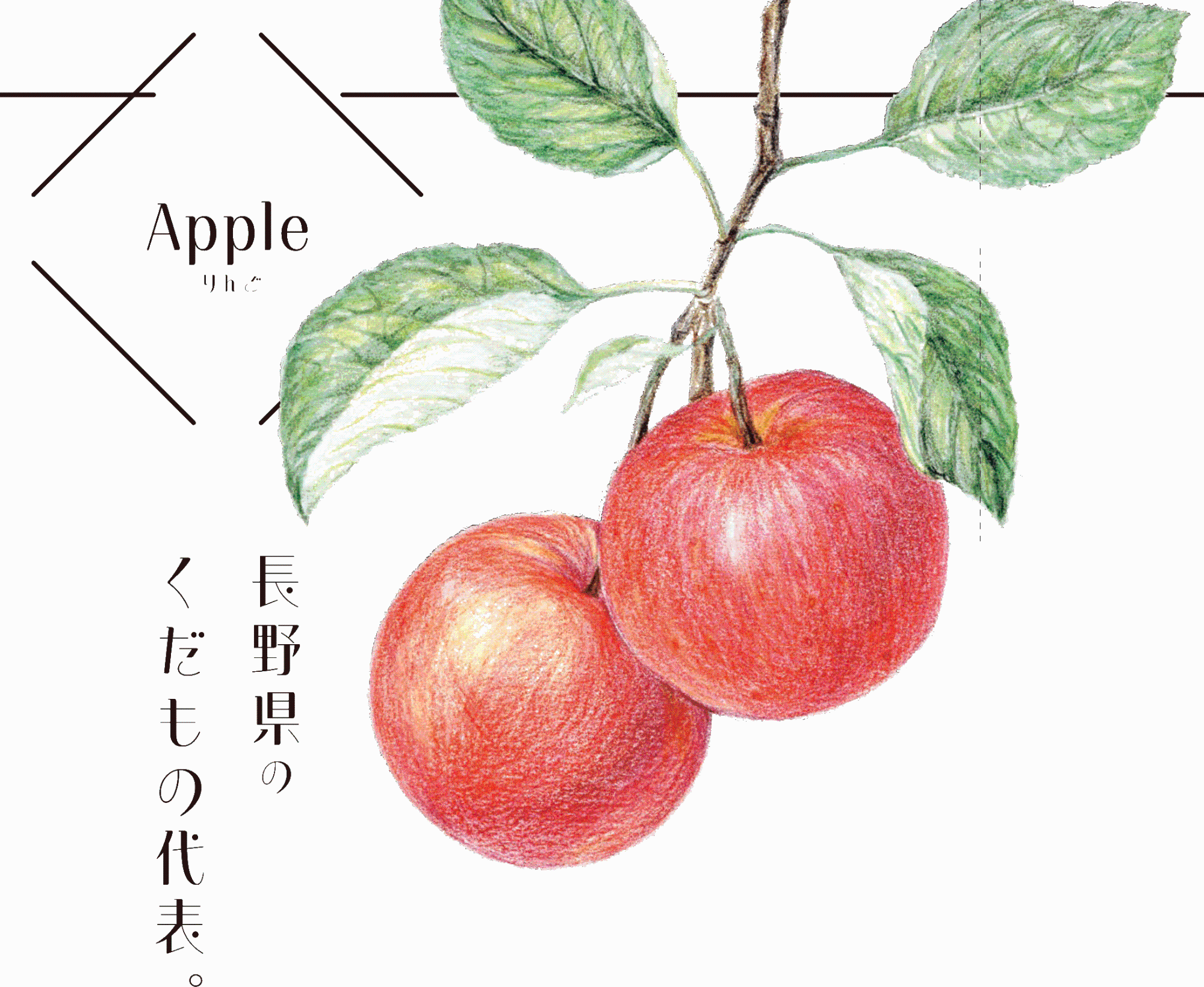 「長野県のくだもの代表」と書かれ、真っ赤なりんごのイラスト