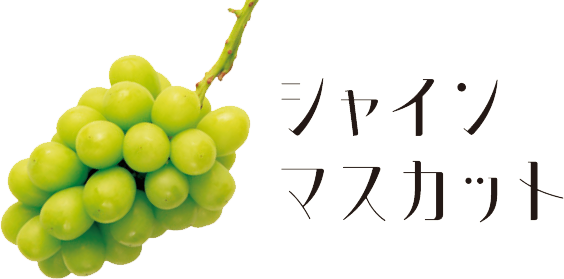 シャインマスカット。鮮やかな黄緑色のブドウ。