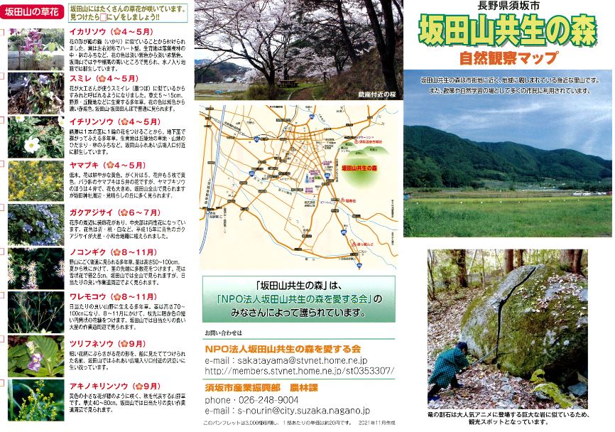 坂田山に咲く草花に関しての情報や、坂田山共生の森の場所などを写真や文で細かく描かれた「坂田山共生の森 自然観察マップ」の画像