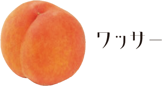 ワッサー