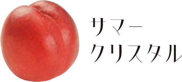 サマークリスタル
