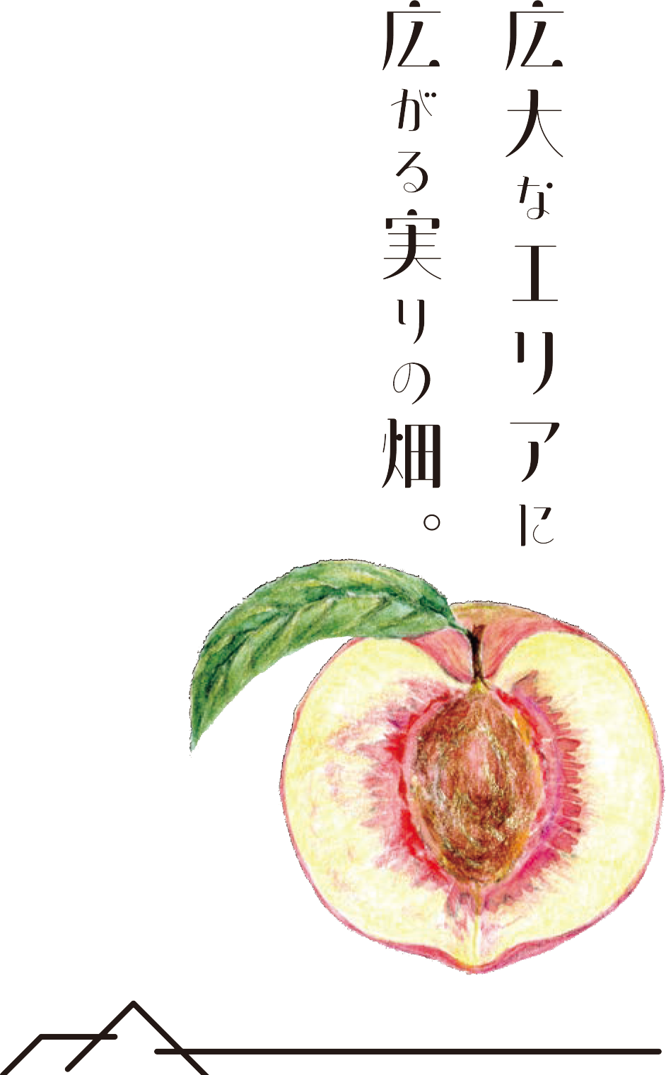 「広大な英リアに広がる実りの畑」と書かれた下には桃の実を種がみえるようにタテに割ったイラスト