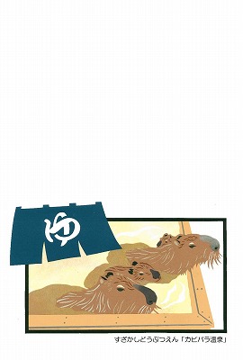 すざかしどうぶつえんカピバラ温泉のハガキデザイン