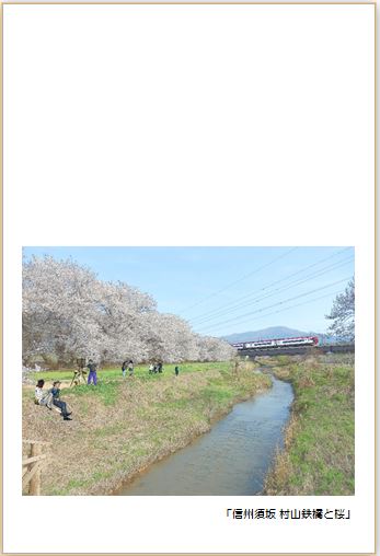 村山鉄橋と桜のハガキデザイン
