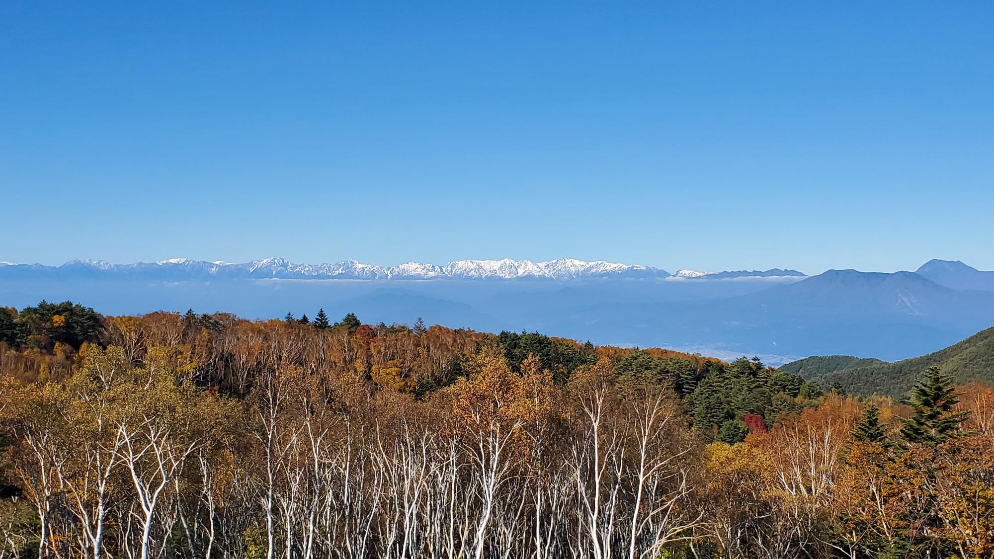第一キャンプ場の景色