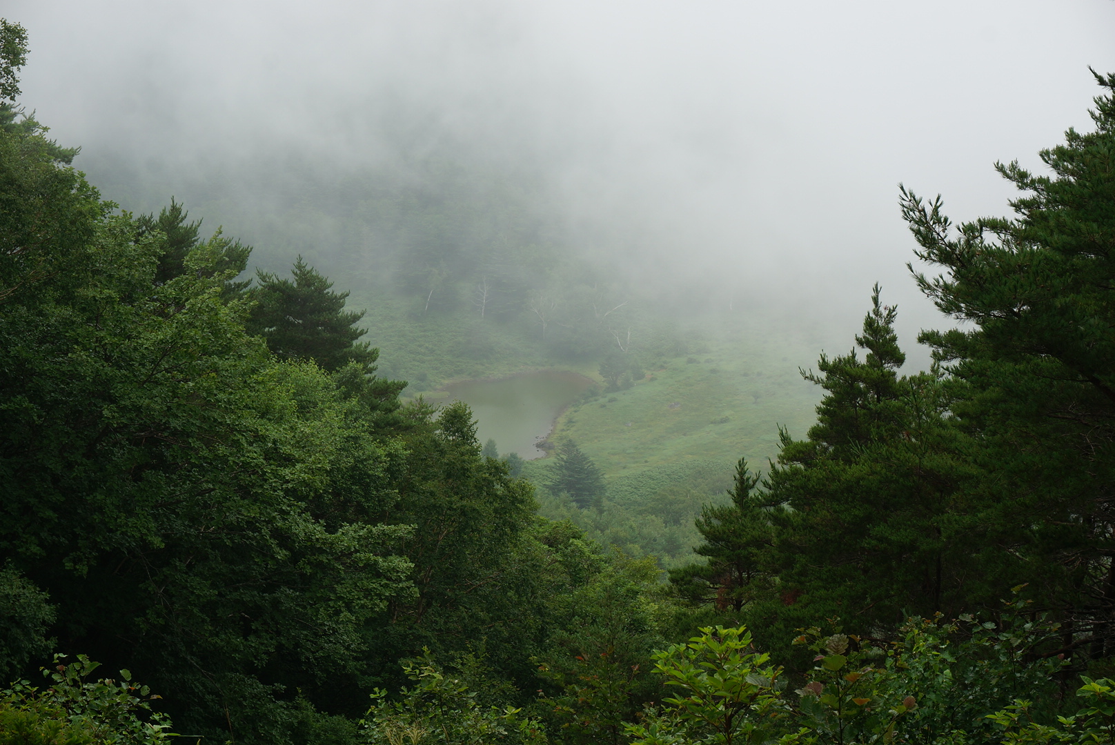 大池展望台からの景色