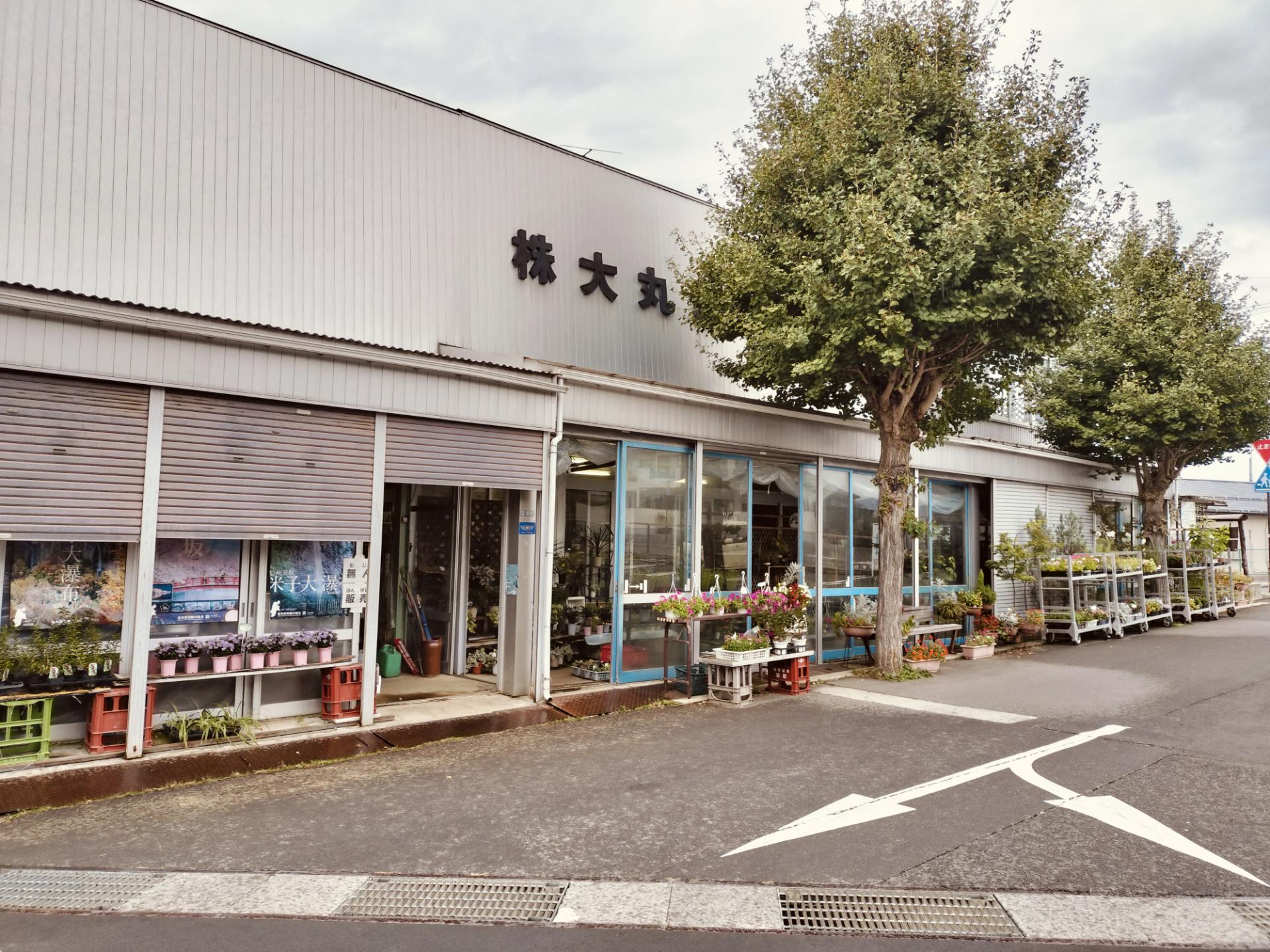 大丸屋商店の外観