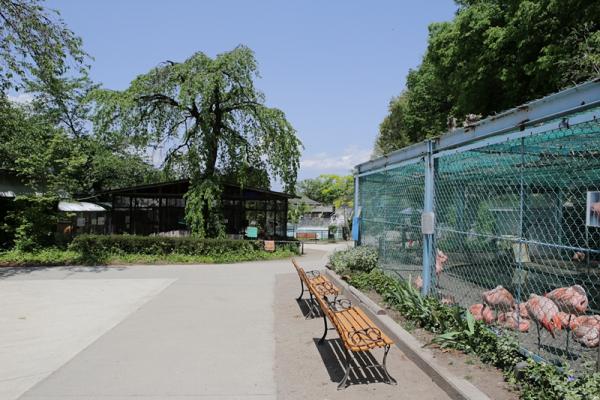 動物園内の写真