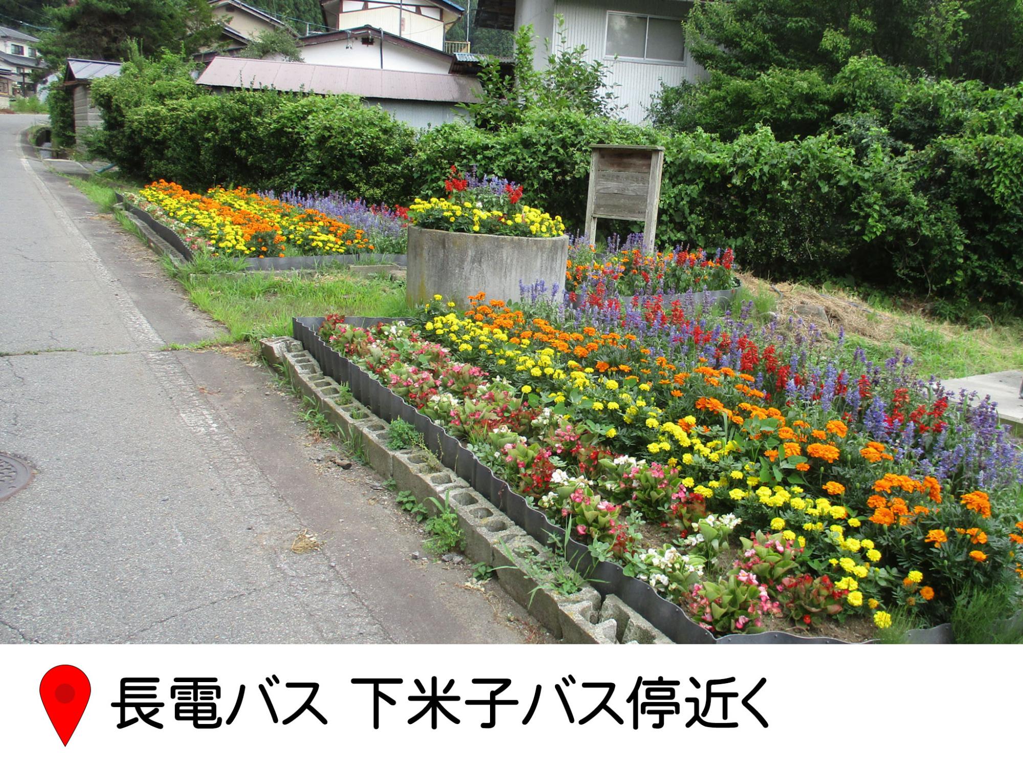 長電バスの下米子バス停の横の花壇。四角い花壇と、コンクリートの井戸のような丸い形の花壇。色ごと花が植えられストライプ模様になっている。