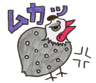 ムカッ 怒っているくちばしが赤い鳥のイラスト