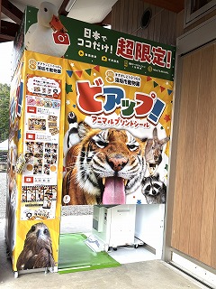 プリントシール機の写真。南園休憩所前に設置されている。
