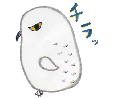 チラッ 横目で見ているシロフクロウのイラスト
