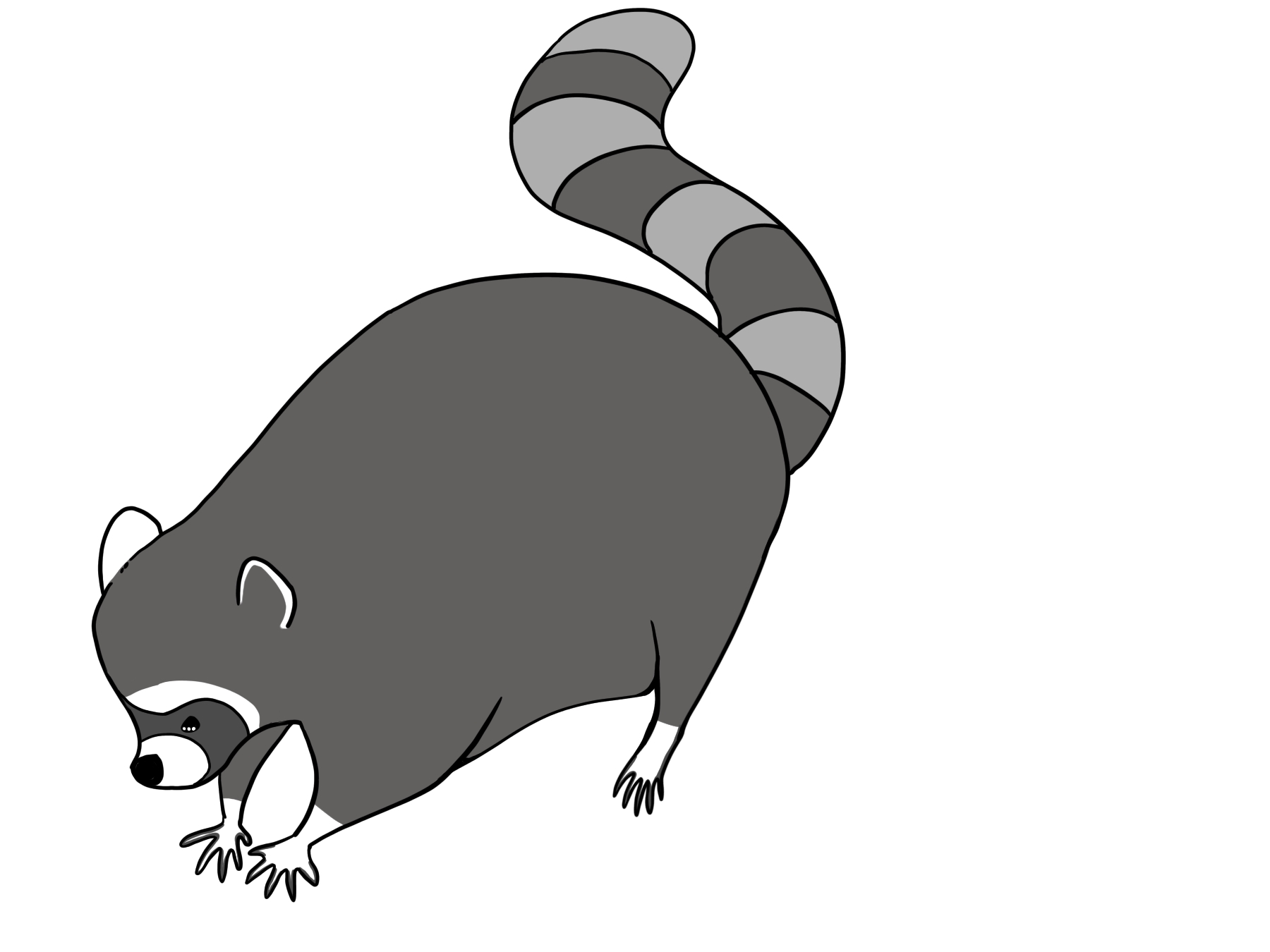 シッポを上げ、下を向き手を洗うそぶりのアライグマのカラーイラスト