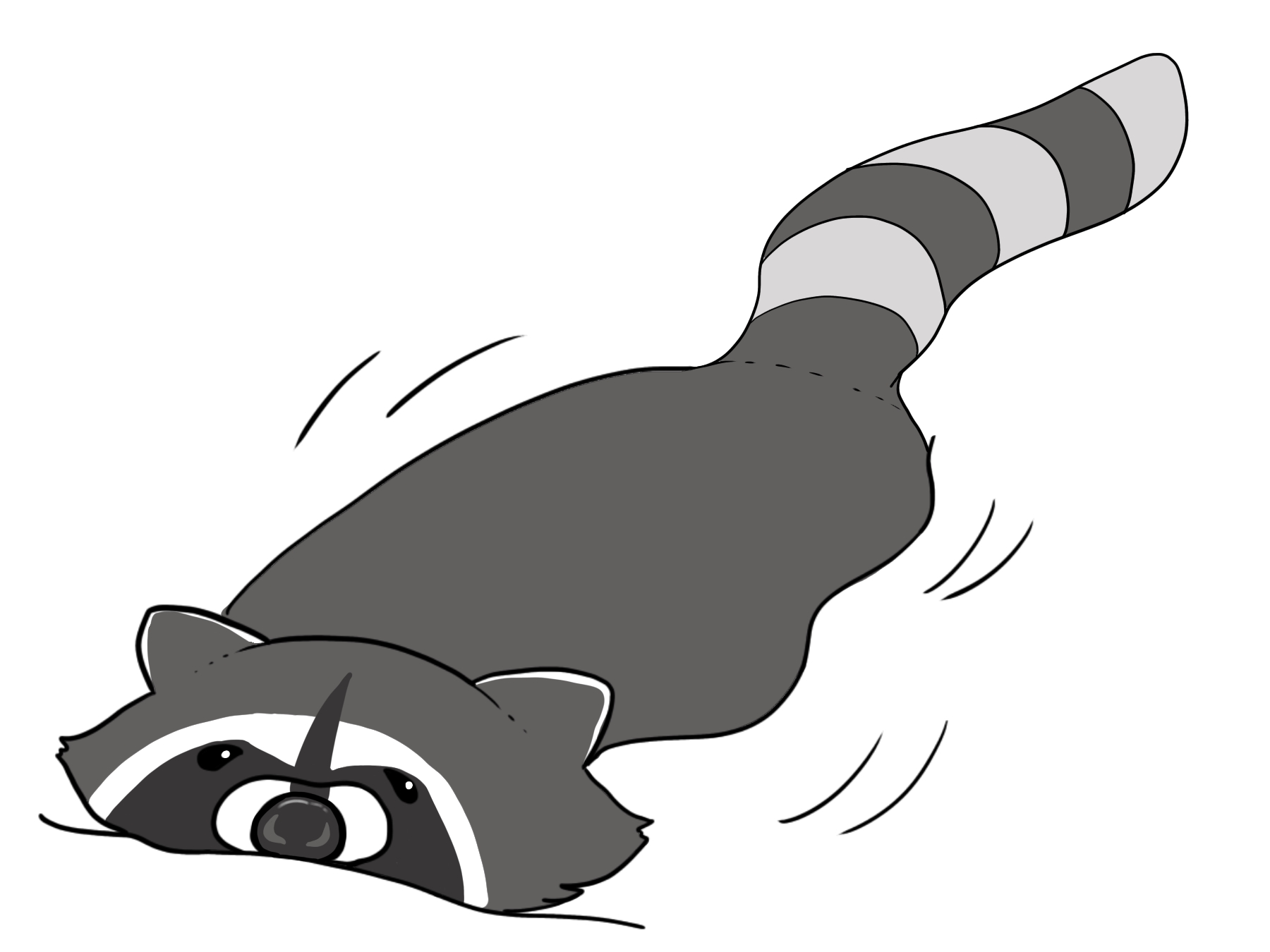 面から体の半分が出て泳いでいるアライグマのカラーイラスト