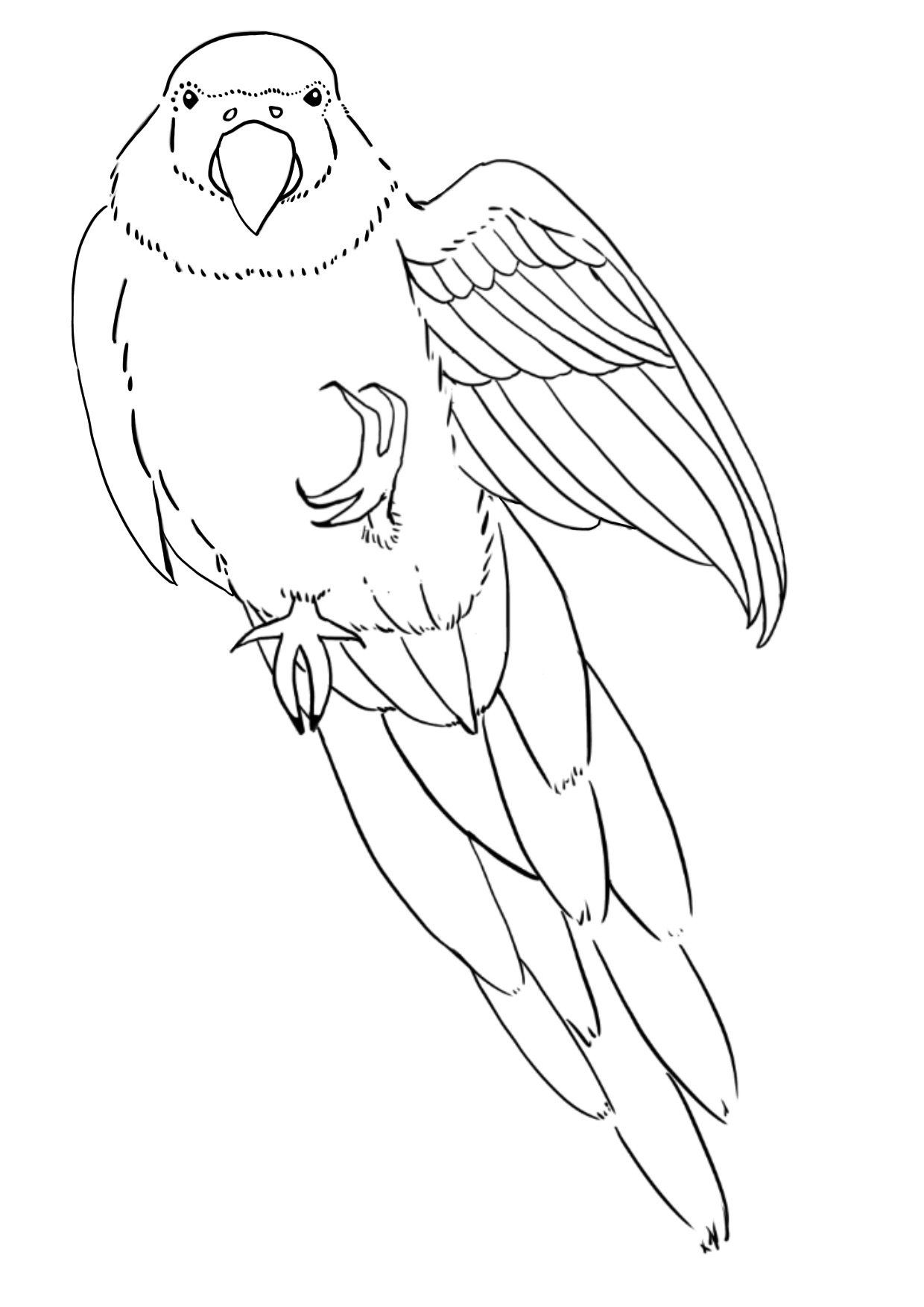 インコの白黒のイラスト