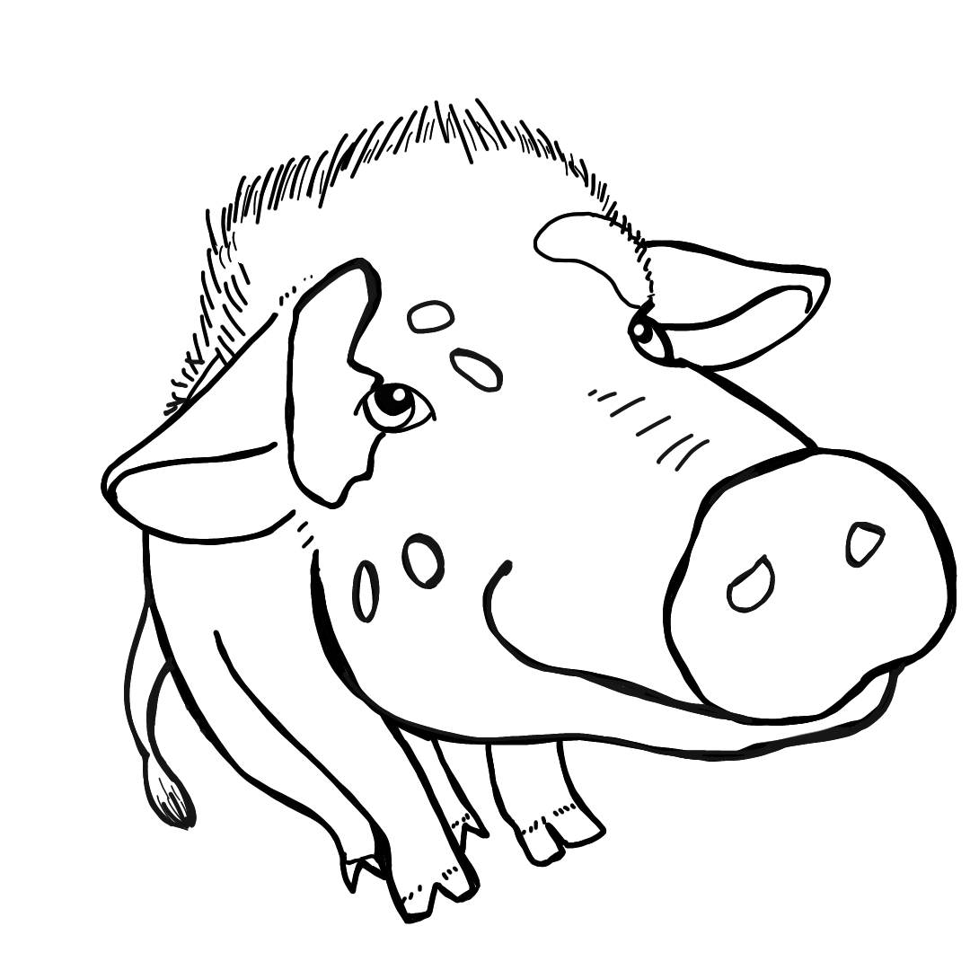 ミニブタ、白黒の線のみのイラスト