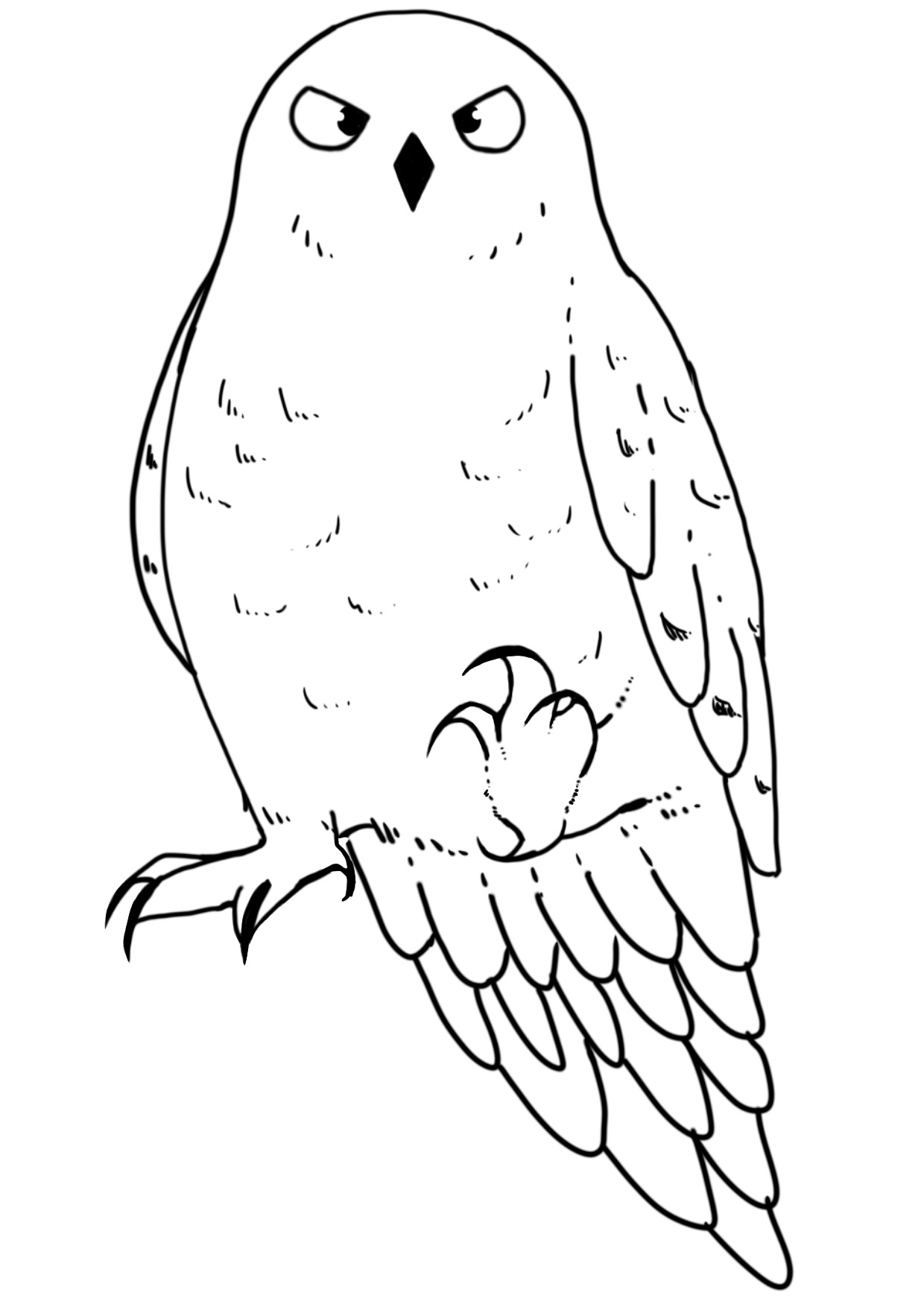 白ふくろう、片足をあげている白黒イラスト