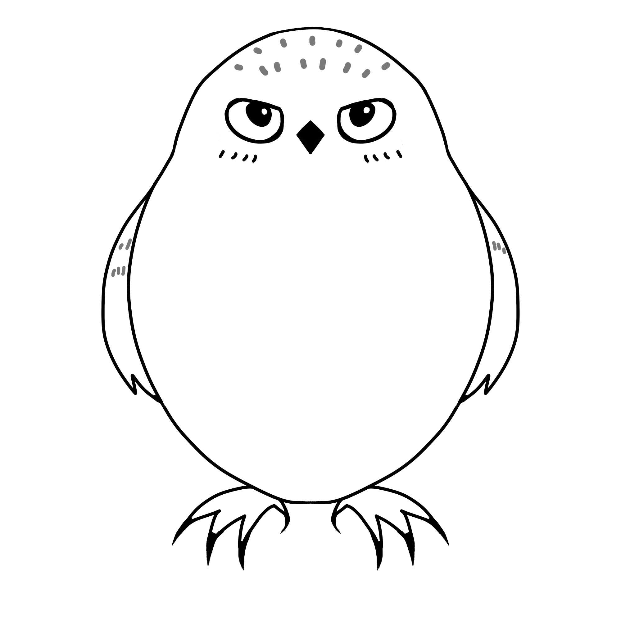 シロフクロウカラーイラスト