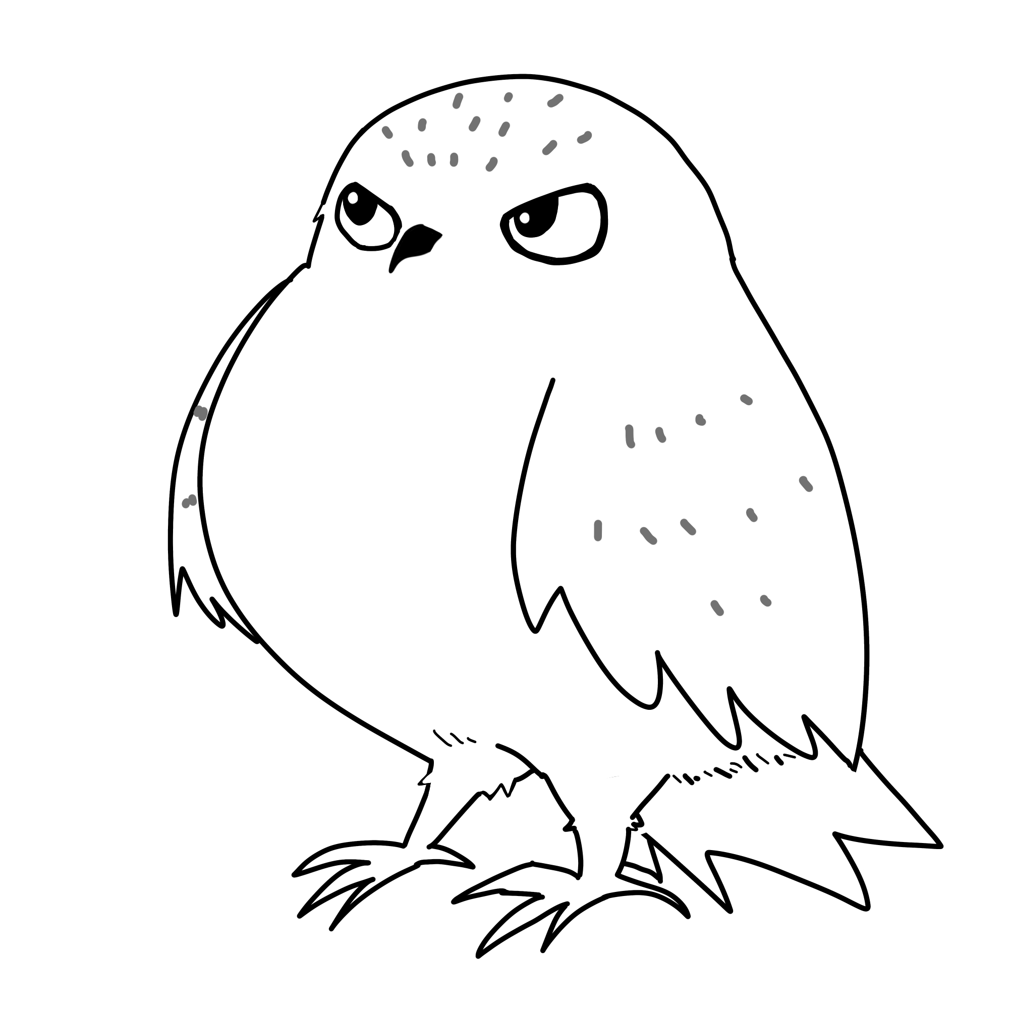 シロフクロウ横向き白黒イラスト